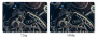 obraz.png