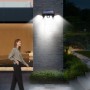 7243_7246_wiz7.jpg