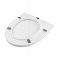 VETTA-041_zdj4 (1).jpg