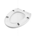 VETTA-044_zdj4 (1).jpg
