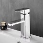 VETTA-057_wiz2 (1).jpg