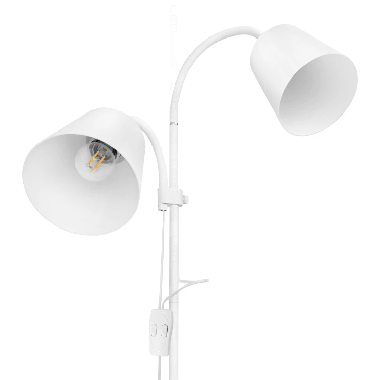 8561_zdj4.2.jpg