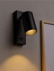K123_wiz2.jpg