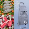 BAG-002_wiz3.jpg